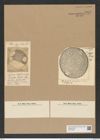 Pseudauliscus ralfsianus (Grev.) Rattr. (de-Toni-Nr.: Genus 172, Species 4414) Zeichnungen Sammlung Grunow Nr. 7977 (NHMW-BOT-W0377269)